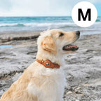 Dog Collar Real-Time GPS Worldwide No Subscription