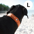 Dog Collar Real-Time GPS Worldwide No Subscription