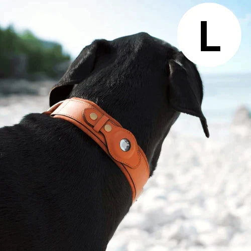 Dog Collar Real-Time GPS Worldwide No Subscription