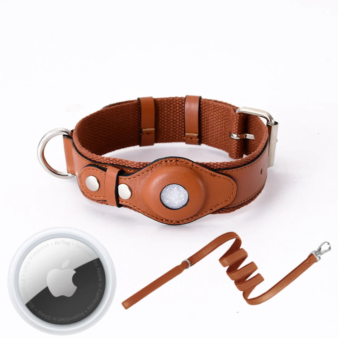 Dog Collar Real-Time GPS Worldwide No Subscription