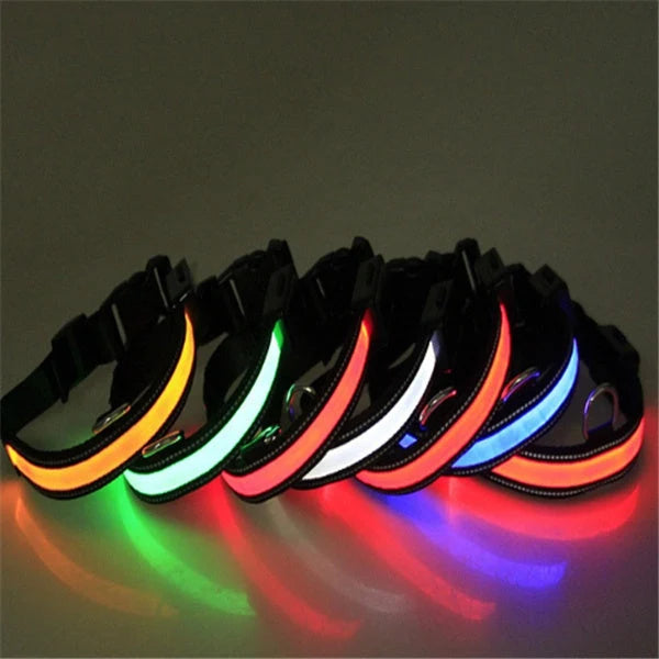 Dog Collar Solar Charging LED Adjustable Nylon