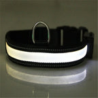 Dog Collar Solar Charging LED Adjustable Nylon