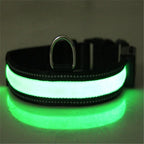 Dog Collar Solar Charging LED Adjustable Nylon