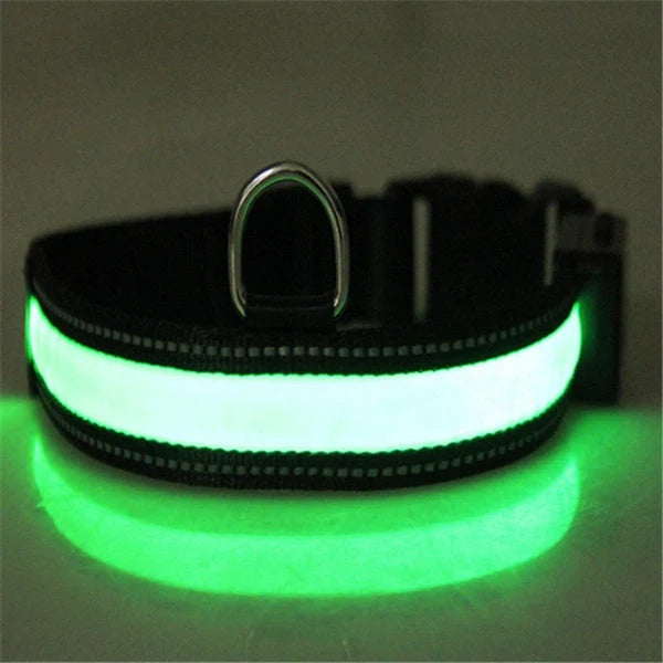 Dog Collar Solar Charging LED Adjustable Nylon