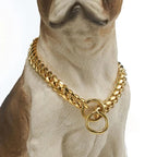 Dog Collar Solid Metal Links Hand-Polished Slip-On