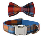 Dog Collar Velvet Cotton-Lined Alloy Buckle