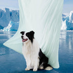Dog Cooling Blanket Breathable Air-Core Fill Machine Washable