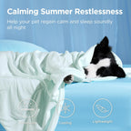 Dog Cooling Blanket Breathable Air-Core Fill Machine Washable