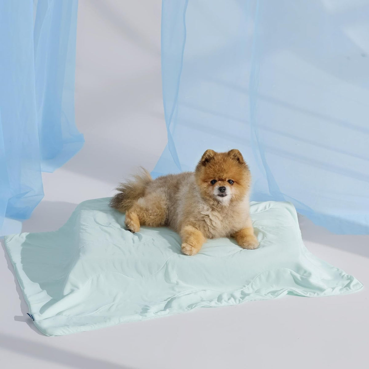 Dog Cooling Blanket Breathable Air-Core Fill Machine Washable