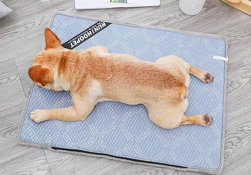 Dog Cooling Mat Breathable Soft Sponge Non-Slip Roll-Up