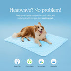 Dog Cooling Mat Gel-Free Cooling Fabric & Machine Washable