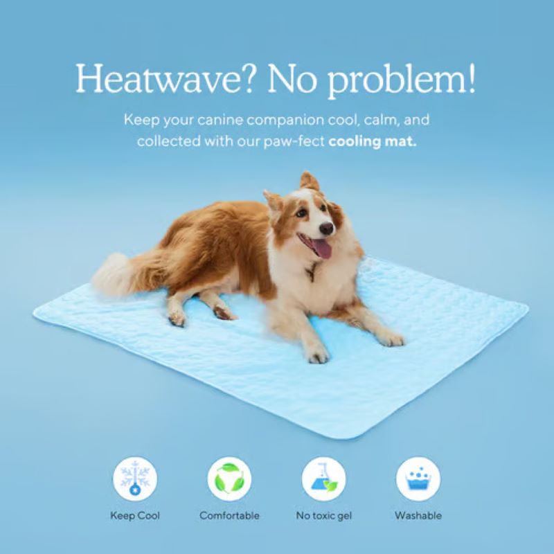 Dog Cooling Mat Gel-Free Cooling Fabric & Machine Washable