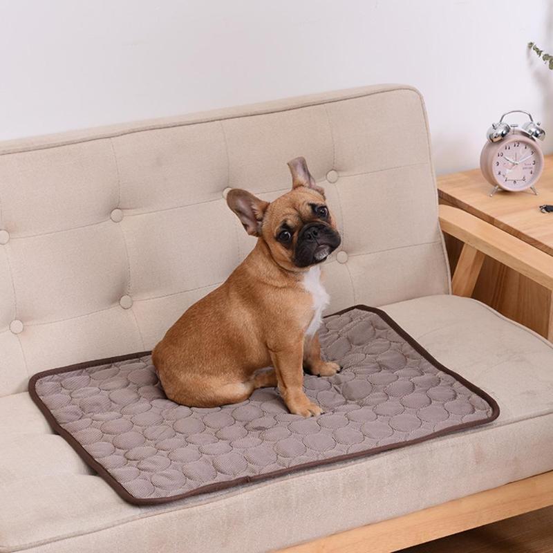 Dog Cooling Mat Pressure-Activated Gel Non-Slip & Machine Washable