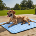 Dog Cooling Mat Pressure-Activated Gel Puncture-Resistant & Non-Toxic