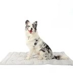 Dog Cooling Mat Self-Activating Gel Machine Washable & Foldable