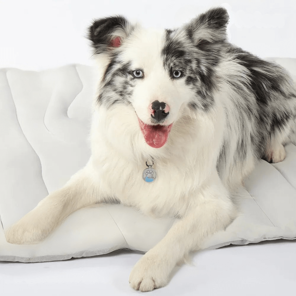 Dog Cooling Mat Self-Activating Gel Machine Washable & Foldable