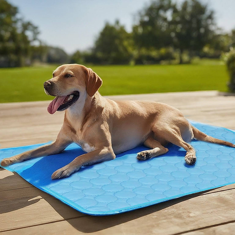 Dog Cooling Mat Self-Cooling No Electricity Moisture-Resistant