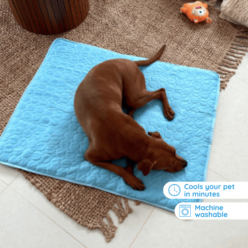 Dog Cooling Mat Self-Cooling No Electricity Moisture-Resistant
