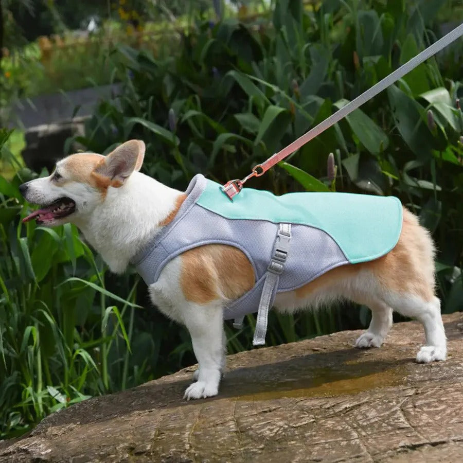 Dog Cooling Vest Water-Activated Breathable Mesh