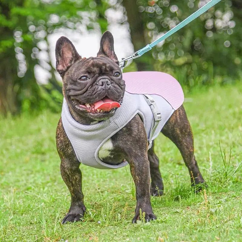 Dog Cooling Vest Water-Activated Breathable Mesh