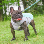 Dog Cooling Vest Water-Activated Breathable Mesh
