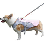 Dog Cooling Vest Water-Activated Breathable Mesh