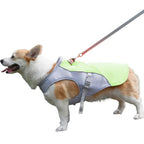 Dog Cooling Vest Water-Activated Breathable Mesh