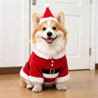 Dog Costume 3D Walking Illusion Padded Arms