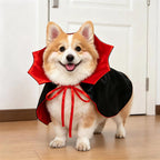 Dog Costume 3D Walking Illusion Padded Arms
