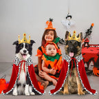 Dog Costume Cape & Crown Soft Polyester Tail Cutout