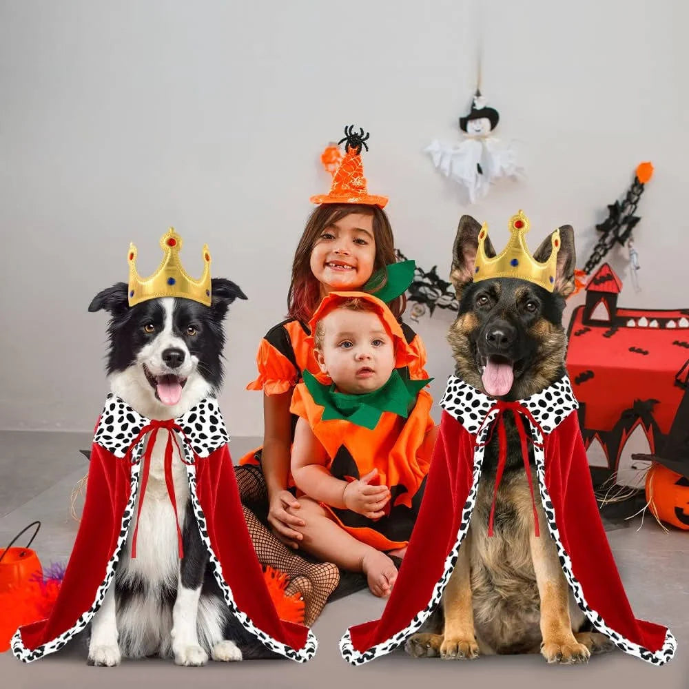 Dog Costume Cape & Crown Soft Polyester Tail Cutout