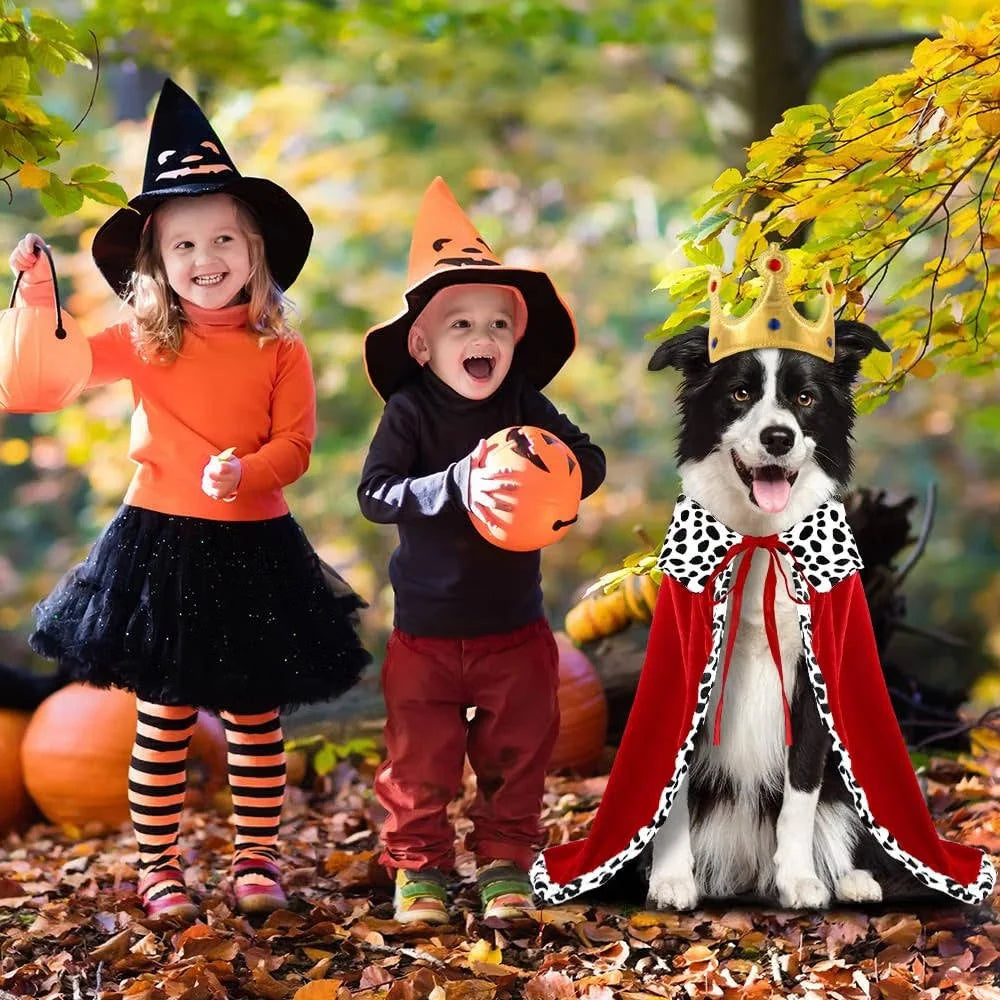 Dog Costume Cape & Crown Soft Polyester Tail Cutout