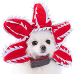 Dog Costume Hooded Step-In Hook-And-Loop Secure Fit