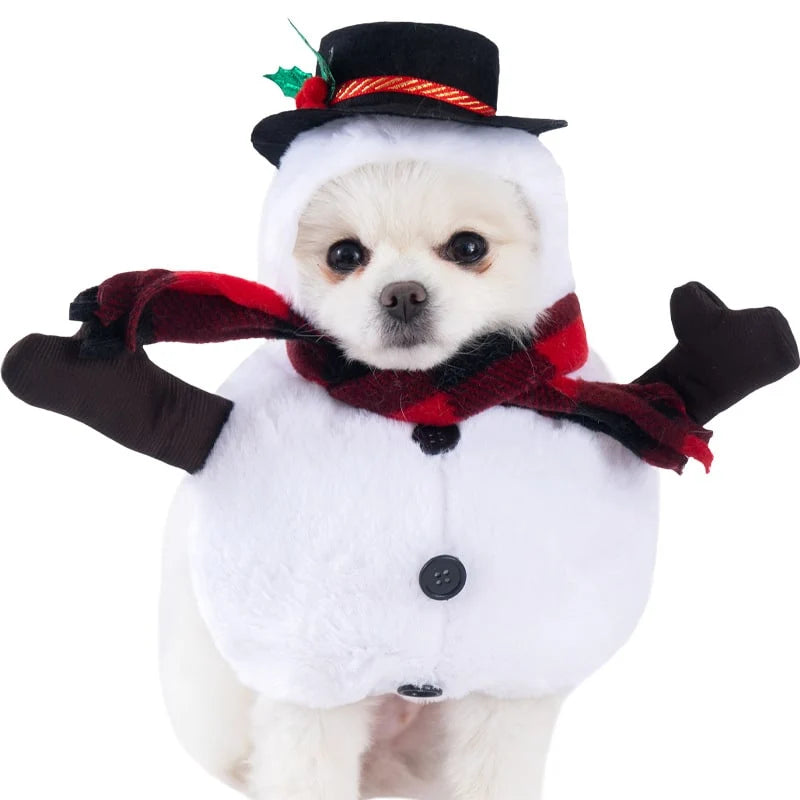 Dog Costume Hooded Step-In Hook-And-Loop Secure Fit
