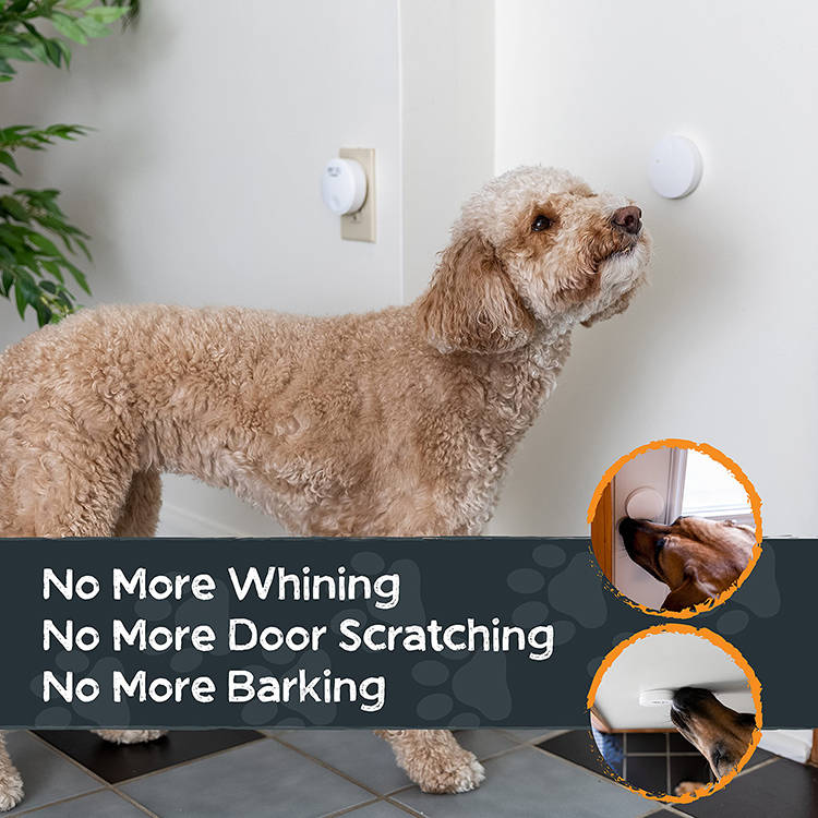 Dog Doorbell Wireless Battery-Free 1,000 Ft Range