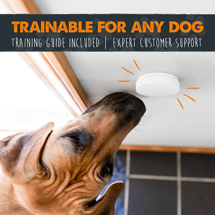 Dog Doorbell Wireless Battery-Free 1,000 Ft Range