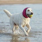 Dog Ear Protector Adjustable Noise-Reducing Soft Breathable Fabric