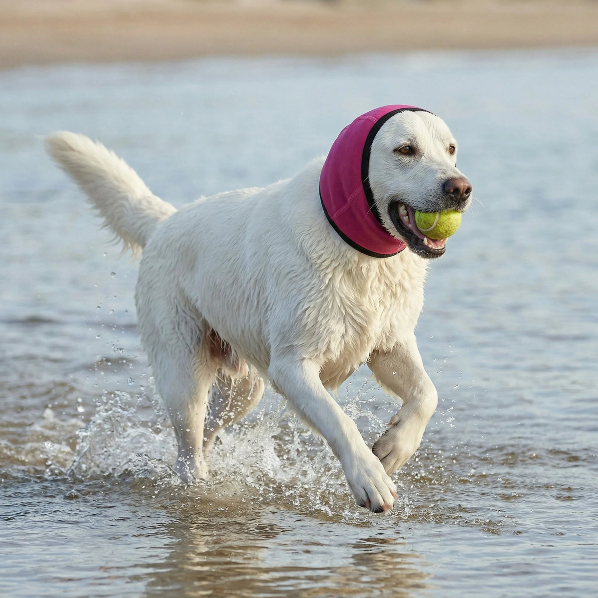Dog Ear Protector Adjustable Noise-Reducing Soft Breathable Fabric