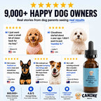 Dog Eye Support Drops Food-Additive Daily Use