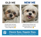 Dog Eye Support Drops Food-Additive Daily Use
