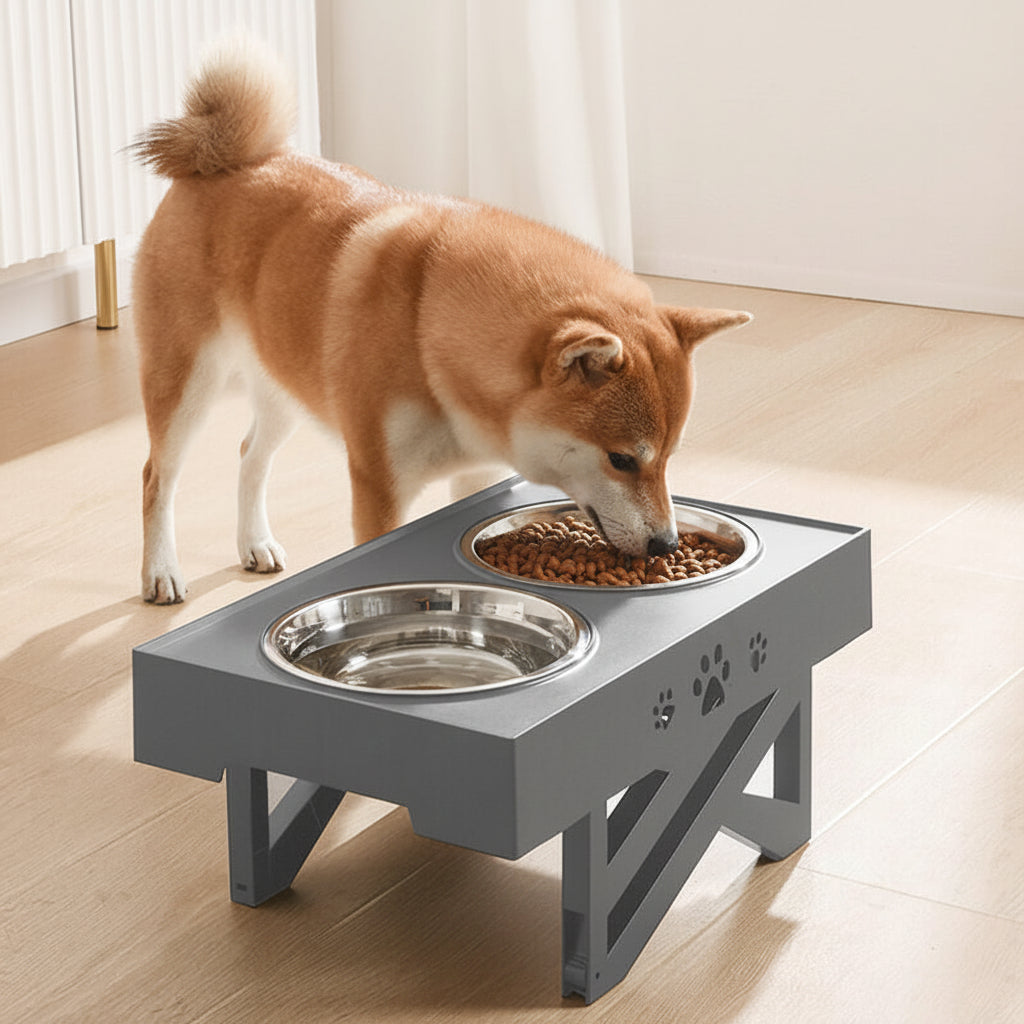 Dog Feeder Two Bowls Adjustable Height Spill-Reducing