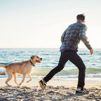 Dog Fence Wireless GPS Rechargeable & Waterproof