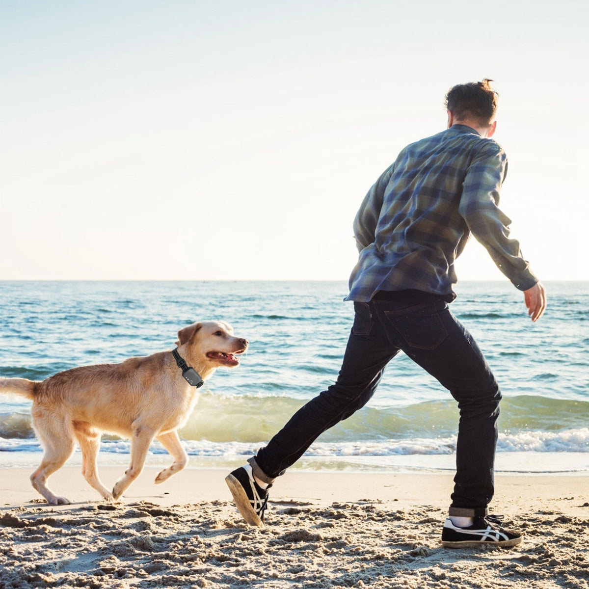 Dog Fence Wireless GPS Rechargeable & Waterproof