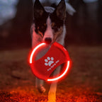 Dog Flying Disc USB Rechargeable LED Natural Rubber