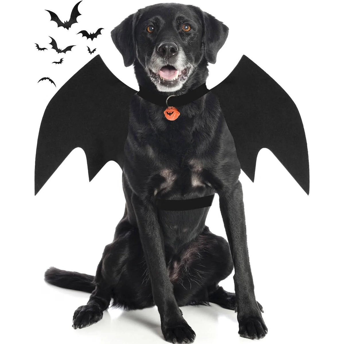Dog Halloween Costume Felt Wings & Adjustable Straps
