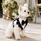 Dog Harness Bow Tie Vest Adjustable Secure Buckle
