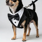 Dog Harness Bow Tie Vest Adjustable Secure Buckle