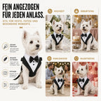 Dog Harness Bow Tie Vest Adjustable Secure Buckle