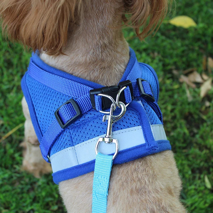 Dog Harness Ergonomic Adjustable Water-Resistant Quick-Release