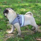 Dog Harness Ergonomic Adjustable Water-Resistant Quick-Release